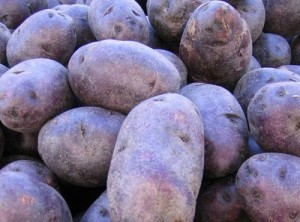 Did the bluenoser nickname come from blue potatoes?