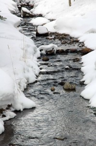 A winter brook