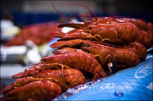 Lobster ready for dinner in Nova Scotia.