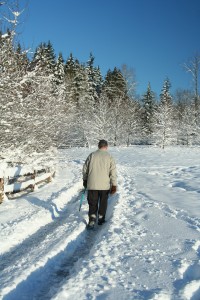 Winter solitude Winter walk