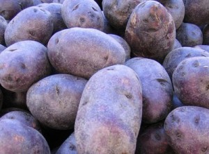 Did the bluenoser nickname come from blue potatoes? Did the bluenoser nickname come from blue potatoes?