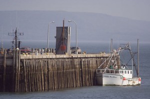 A Digby fishing boat at low tide. A Digby fishing boat at low tide.