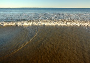 The water is warm. Come on in for a swim! The water is warm. Come on in for a swim!