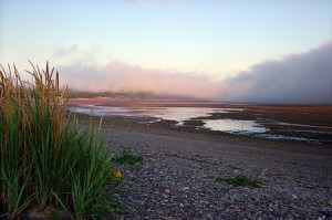 The Parrsboro shoreline is perfect for rockhounding when the tide is out. The Parrsboro shoreline is perfect for rockhounding when the tide is out.