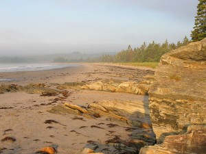 Rissers Beach in the early morning. Rissers Beach in the early morning.