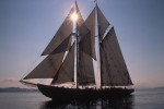 The Bluenose