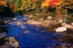 Fall colours in Nova Scotia