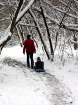 Go sledding in January